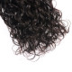 Preciousluxuryhair Hair 1 Bundle 100% Human Hair New Loose Water Wave On Sale