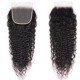 Preciousluxuryhair Hair 1 PC 4*4 Super Wave Lace Closure Free Part 100% Human Hair