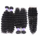 Preciousluxuryhair Hair Remy Series Human Hair Brazilian Deep Wave 4 Bundles with 4*4 Lace closure 100% Human Hair