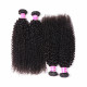 Preciousluxuryhair Hair 4 Bundles Brazilian Kinky Curly Hair Bundles ,Double Weft  Hair Wave On Sale 100% Human Hair