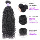 Preciousluxuryhair Hair 4 Bundles Peruvian Curly Hair New Remy Human Hair Affordable Sale Price