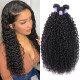 Preciousluxuryhair Hair New Remy Human Hair Malaysian Curly Hair 3 Bundles Human Hair Can be Dyed and Bleached