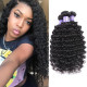 Preciousluxuryhair Affordable Remy Human Hair Deep Wave Hair Bulk Order For Wholesale Business 5pc/10pc Hair Bundles