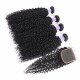 Preciousluxuryhair Hair New Remy Black Color Brazilian Curly Hair 4 Bundles with 4*4 Lace Closure 100% Human Hair Weaves