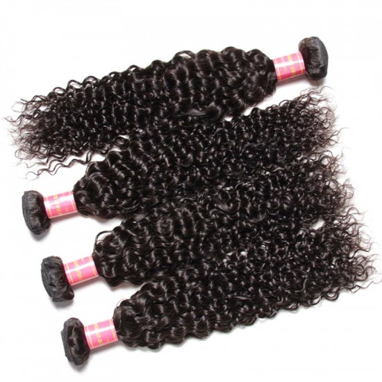 Preciousluxuryhair Hair Brazilian Virgin Curly Hair 3 Bundles with 4*4 Lace Closure 100% Human Hair