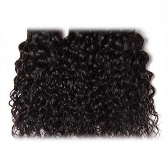 Preciousluxuryhair Hair Brazilian Water Wave Hair 4 Bundles, 100% Virgin Human Hair Weave