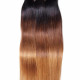 Preciousluxuryhair Hair Malaysian Virgin Straight Hair Ombre 3 Tone Color Human Hair Extensions 3/4 Bundles