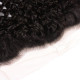 Preciousluxuryhair Hair Curly Hair Transparent 13*4 Ear to Ear Lace Frontal