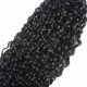 Preciousluxuryhair Hair 1 Bundle Remy Hair Curly Hair 1 Bundle Peruvian/Malaysian/Brazilian Remy Human Hair Weave