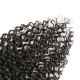 Preciousluxuryhair Hair Brazilian Human Curly Hair 4x4 Free Part Lace Closure Pre-Plucked With Baby Hair