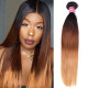 Preciousluxuryhair Hair Ombre Straight Hair Weave 1 Bundle T1B/4/27 Color 16