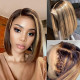 Preciousluxuryhair Highlight Straight Bob Wig 150% Density TL412 Ombre Colored Pre-plucked 13 By 4 Lace Front Human Hair Wigs