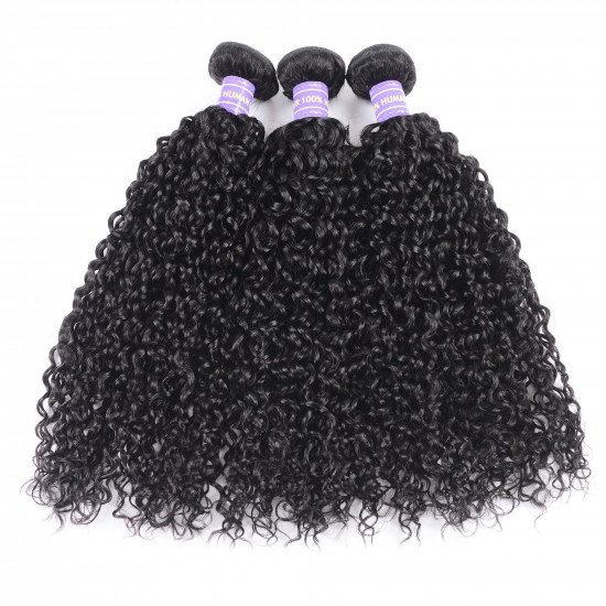 Preciousluxuryhair Hair Remy Human Hair Bundles Deal Indian Virgin Curly Hair 3 Bundles with 4*4 Lace Closure