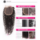 Preciousluxuryhair Hair Malaysian Virgin Curly Hair 3 Bundles with 4