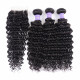 Preciousluxuryhair Hair Malaysian Remy Human Hair Deep Wave 3 Bundles With 4*4 Lace Closure Free Part Closure