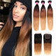 Preciousluxuryhair Hair Ombre Hair T1b/4/27 Color Straight Human Hair 3 Bundles with Lace Closure 100% Human Hair