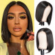 Preciousluxuryhair Short Straight Bob Wigs 4x4 Lace Closure Front Wigs Pre-Plucked Virgin Human Hair Wigs 150% Density