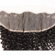 Preciousluxuryhair Hair Virgin Curly Hair 13*4 Ear to Ear Lace Frontal 1pcs/lot